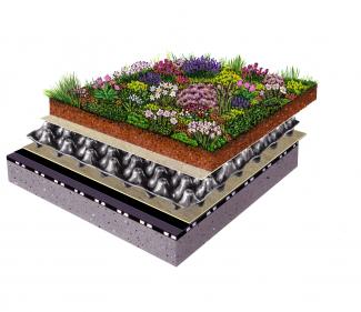 Green roof system build-up